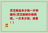 灵芝鲜品多少钱一斤啊图片(灵芝新鲜价格揭晓，一斤多少钱，速看！)