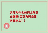 灵芝为什么长树上呢怎么回事(灵芝为何会生长在树上？)