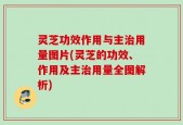 灵芝功效作用与主治用量图片(灵芝的功效、作用及主治用量全图解析)