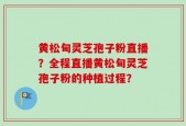 黄松甸灵芝孢子粉直播？全程直播黄松甸灵芝孢子粉的种植过程？
