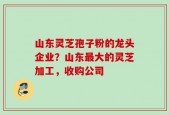 山东灵芝孢子粉的龙头企业？山东最大的灵芝加工，收购公司