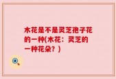 木花是不是灵芝孢子花的一种(木花：灵芝的一种花朵？)