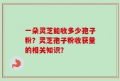 一朵灵芝能收多少孢子粉？灵芝孢子粉收获量的相关知识？