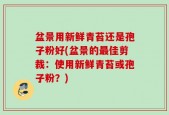 盆景用新鲜青苔还是孢子粉好(盆景的最佳剪裁：使用新鲜青苔或孢子粉？)