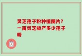 灵芝孢子粉种植图片？一亩灵芝能产多少孢子粉