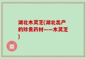 湖北木灵芝(湖北出产的珍贵药材——木灵芝)