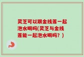 灵芝可以跟金线莲一起泡水喝吗(灵芝与金线莲能一起泡水喝吗？)