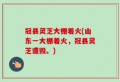 冠县灵芝大棚着火(山东一大棚着火，冠县灵芝遭毁。)