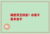 破壁灵芝拼音？亦是不是多音字