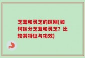 芝茸和灵芝的区别(如何区分芝茸和灵芝？比较其特征与功效)
