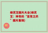 蜂灵芝图片大全(蜂灵芝：神奇的“蛮荒之药”图片集锦)
