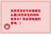 天然灵芝好不好用呢怎么看(天然灵芝的功效有多大？你必须知道的事项。)
