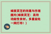蜂窝灵芝的效果与作用图片(蜂窝灵芝：高效功能性食材，多重益处一网打尽！)
