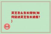 灵芝怎么生长得快(如何促进灵芝生长速度？)