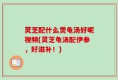 灵芝配什么煲龟汤好呢视频(灵芝龟汤配伊参，好滋补！)