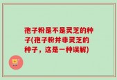 孢子粉是不是灵芝的种子(孢子粉并非灵芝的种子，这是一种误解)