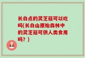 长白点的灵芝菇可以吃吗(长白山原始森林中的灵芝菇可供人类食用吗？)