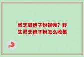 灵芝取孢子粉视频？野生灵芝孢子粉怎么收集
