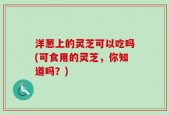洋葱上的灵芝可以吃吗(可食用的灵芝，你知道吗？)