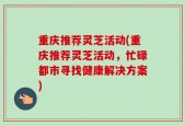 重庆推荐灵芝活动(重庆推荐灵芝活动，忙碌都市寻找健康解决方案)