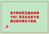 孢子粉和灵芝菌丝体哪个好？灵芝从古至今发展过程分哪五个阶段
