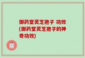 御药堂灵芝孢子 功效(御药堂灵芝孢子的神奇功效)