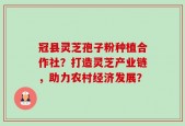 冠县灵芝孢子粉种植合作社？打造灵芝产业链，助力农村经济发展？