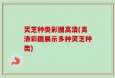 灵芝种类彩图高清(高清彩图展示多种灵芝种类)