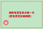纯野生灵芝多少钱一只(野生灵芝价格揭密)