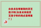 白素贞在哪里取的灵芝孢子粉(白素贞采摘灵芝孢子粉的地点是哪里？)