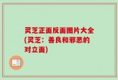 灵芝正面反面图片大全(灵芝：善良和邪恶的对立面)
