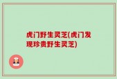 虎门野生灵芝(虎门发现珍贵野生灵芝)