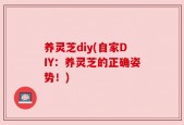 养灵芝diy(自家DIY：养灵芝的正确姿势！)
