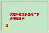 灵芝种植源头正规厂家在哪里生产