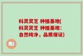 科灵灵芝 种植基地(科灵灵芝 种植基地：自然纯净，品质保证)