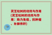 灵芝松树的功效与作用(灵芝松树的功效与作用：助力免疫，抗肿瘤、补肺养肝)