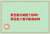 灵芝孢子成团了好吗？灵芝出了孢子能浇水吗