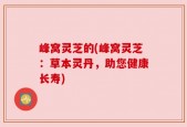 峰窝灵芝的(峰窝灵芝：草本灵丹，助您健康长寿)