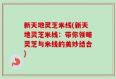 新天地灵芝米线(新天地灵芝米线：带你领略灵芝与米线的美妙结合)