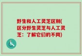 野生和人工灵芝区别(区分野生灵芝与人工灵芝：了解它们的不同)