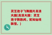 灵芝孢子飞舞图片高清大图(高清大图：灵芝孢子飘散间，犹如仙境飘雪。)
