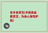 见手青灵芝(手摘高品质灵芝，为身心保驾护航)