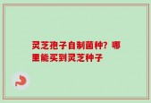灵芝孢子自制菌种？哪里能买到灵芝种子