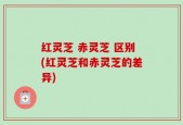 红灵芝 赤灵芝 区别(红灵芝和赤灵芝的差异)