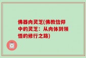 佛器肉灵芝(佛教信仰中的灵芝：从肉体到领悟的修行之路)