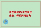 灵芝草成熟(灵芝草已成熟，释放药用潜力