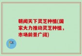 朝闻天下灵芝种植(国家大力推动灵芝种植，市场前景广阔)