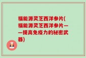 福能源灵芝西洋参片(福能源灵芝西洋参片——提高免疫力的秘密武器)