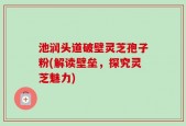 池润头道破壁灵芝孢子粉(解读壁垒，探究灵芝魅力)