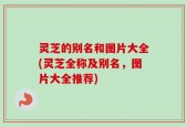 灵芝的别名和图片大全(灵芝全称及别名，图片大全推荐)